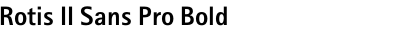 Rotis II Sans Pro Bold